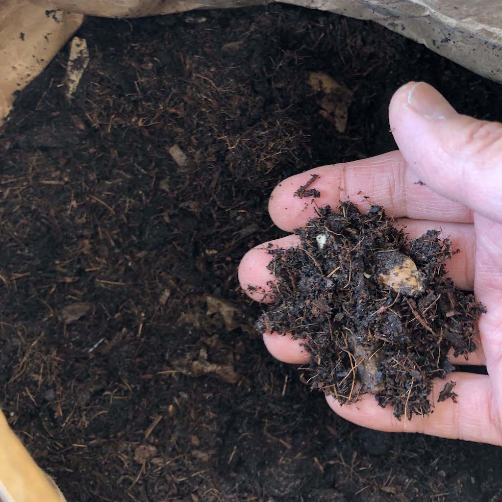 我が家のコンポスト・チャレンジ!NO. 5