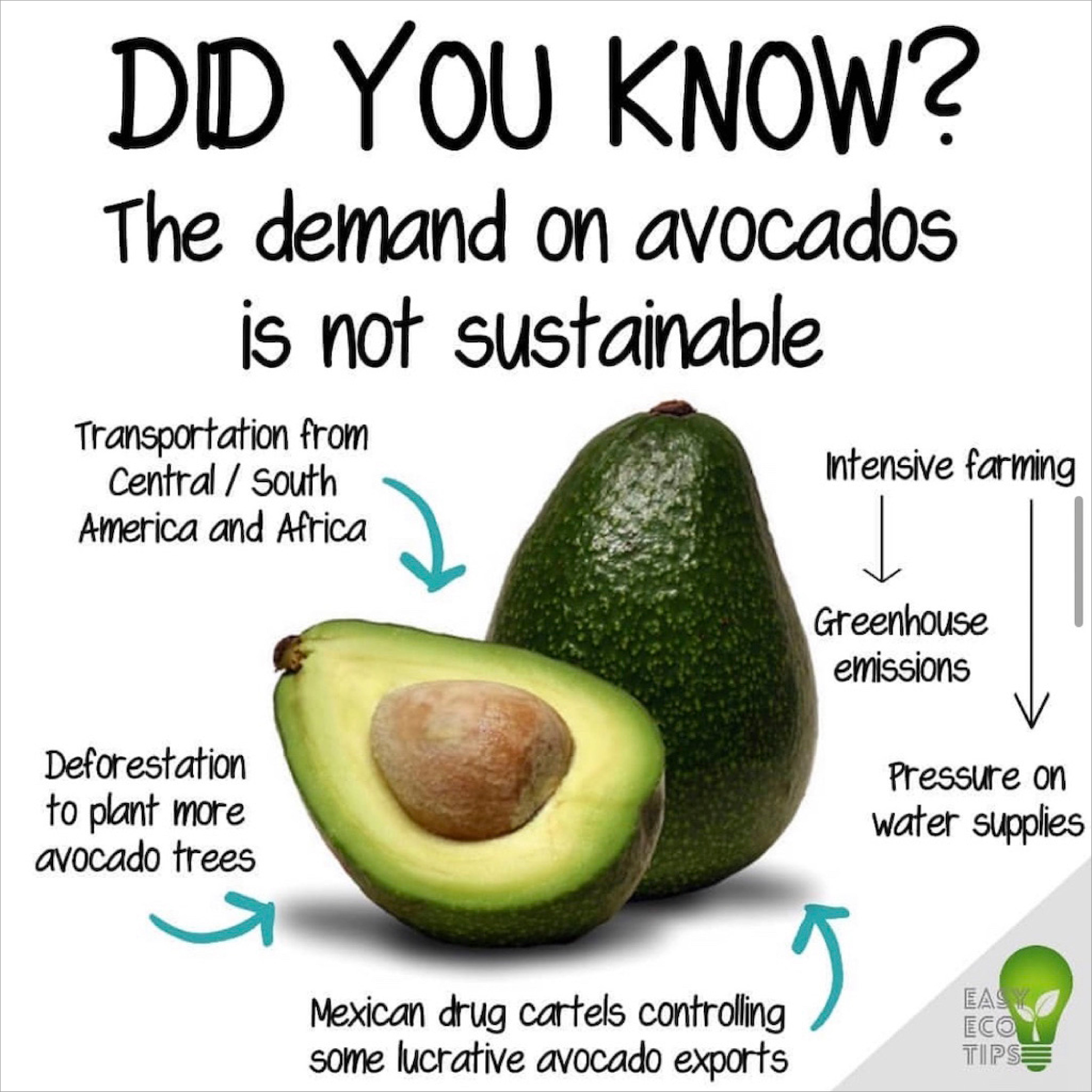 Easy Eco Tips : エコライフを始めよう!