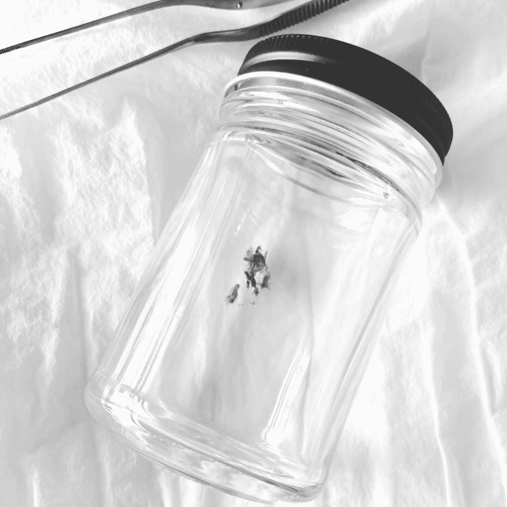 家庭から流れ出るプラスチック粒子のこと