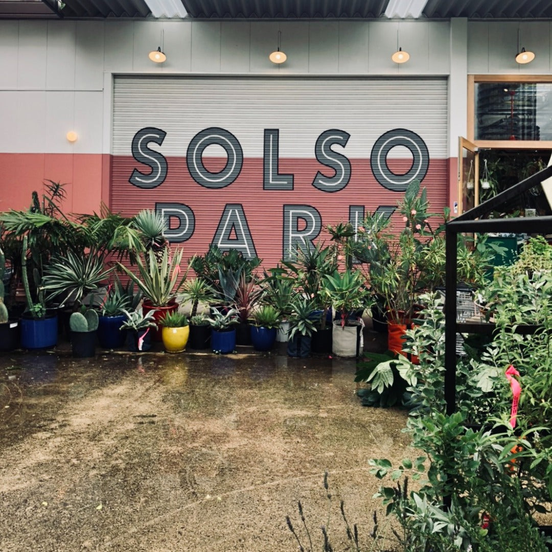 Pop Up Information @ Solso Park