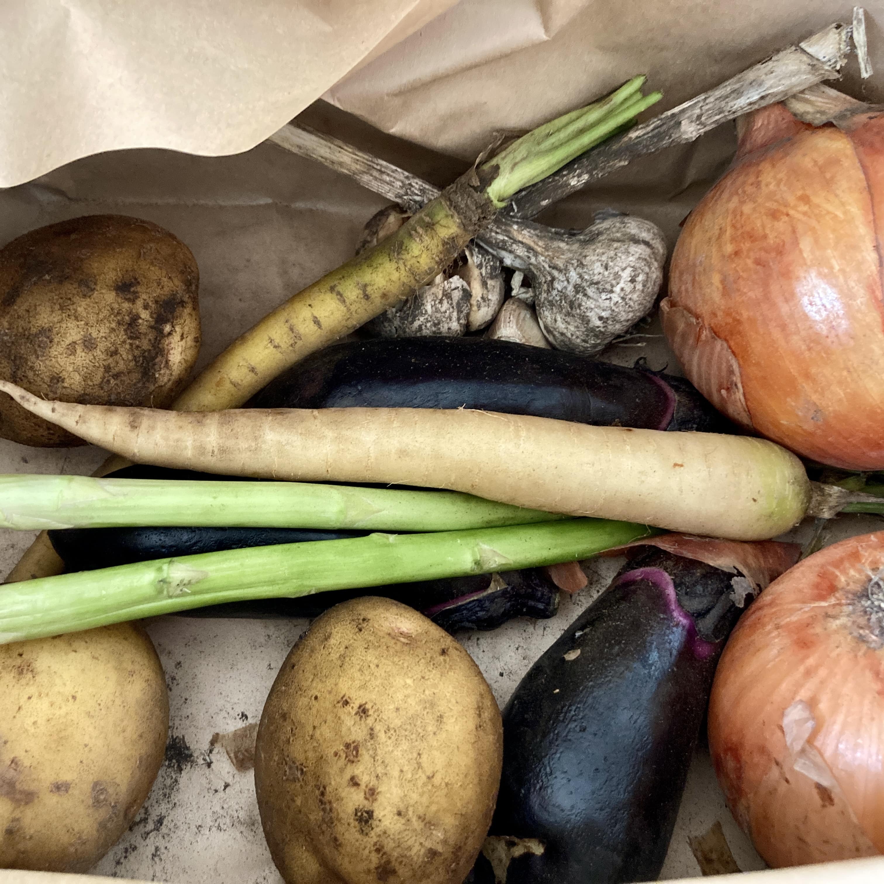 FRESH FROM THE FARM!