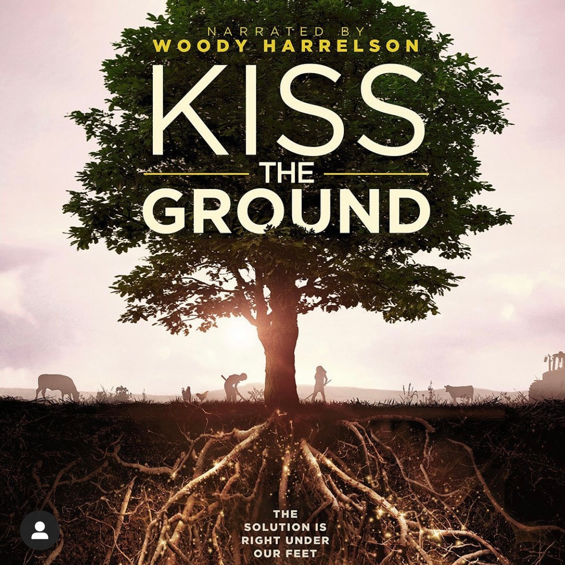 オススメ映画 : Kiss The Ground (2020)