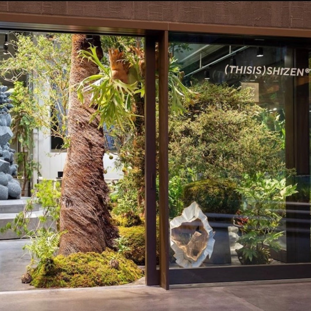 (THISIS)SHIZEN  : New shop information