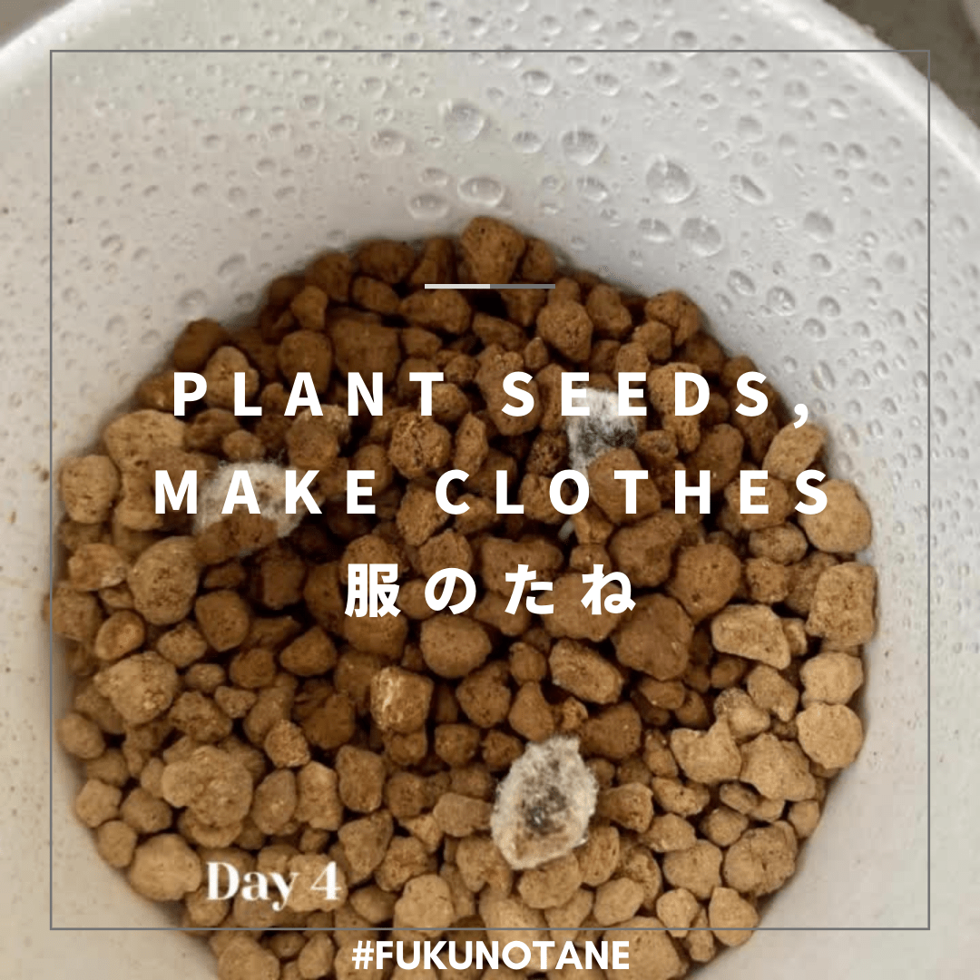 服のタネ: PLANT SEEDS, MAKE CLOTHES - 2023
