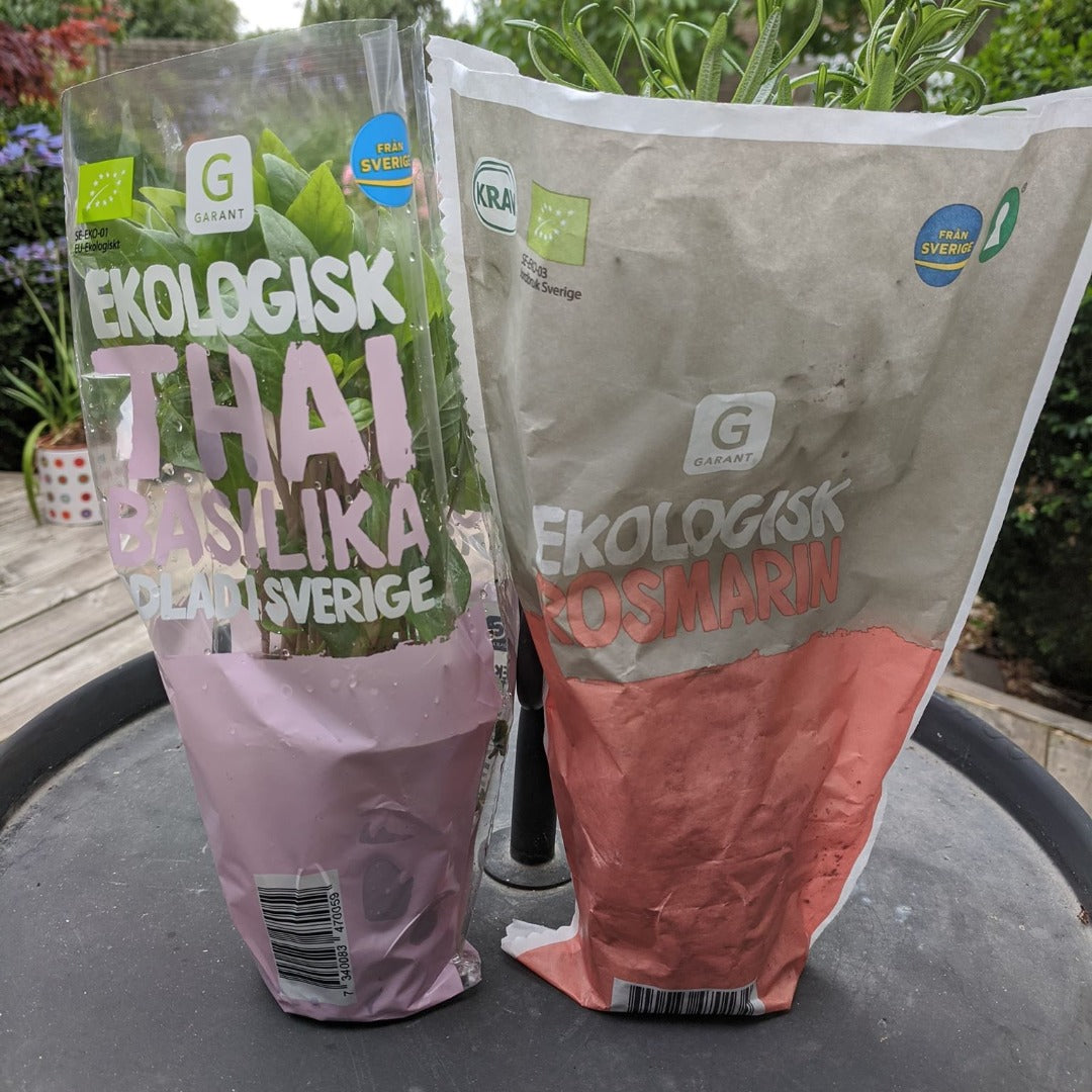 [Mika @ Lund] Eco living from Sweden - August 2020