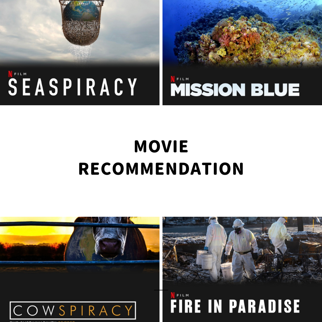 映画のレコメンデーション