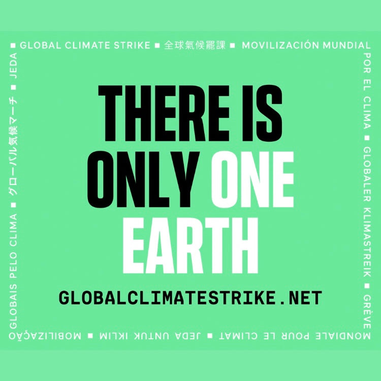 3/25/2022 : Global Climate Strike by Fridays For Future