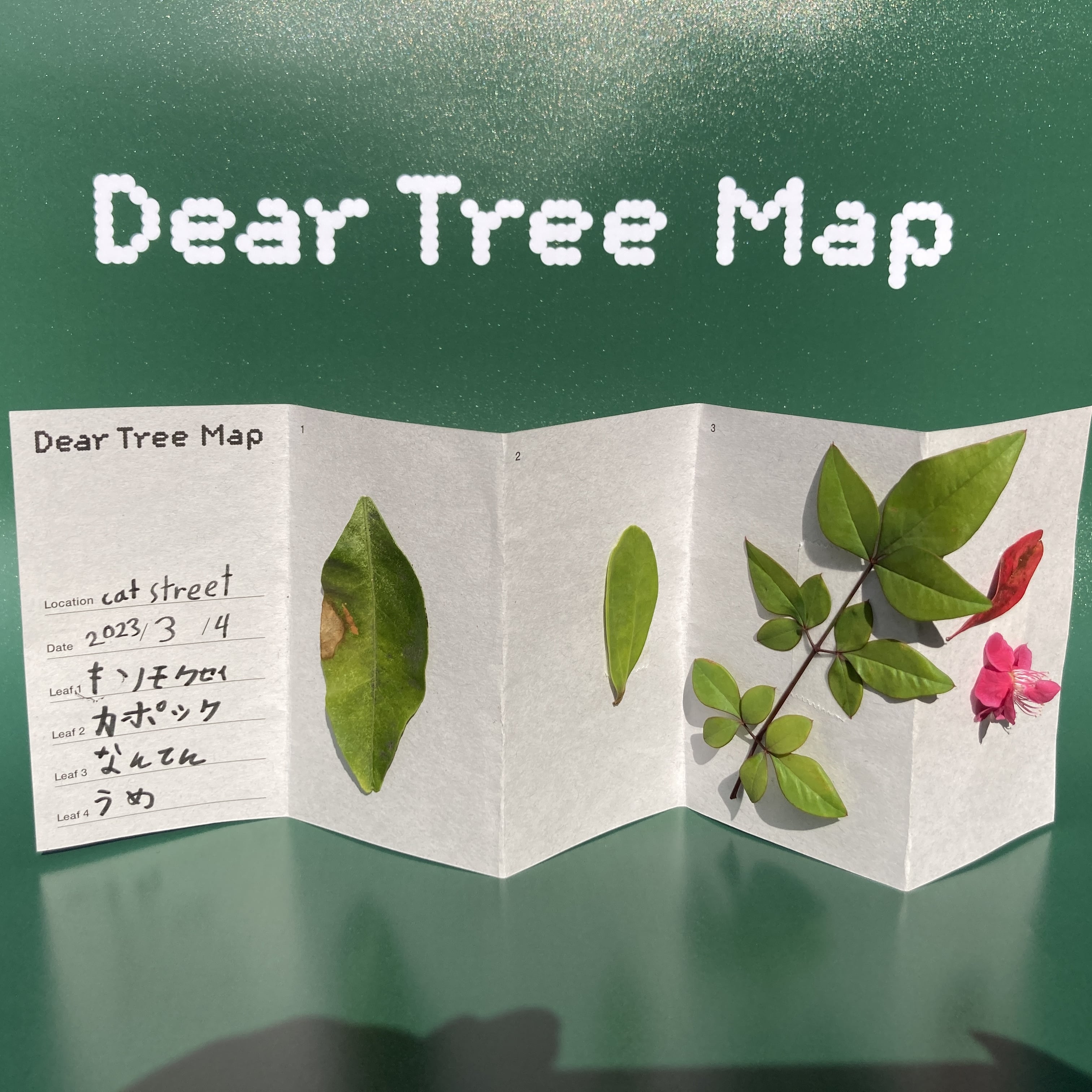 イベントレポート：Dear Tree Project