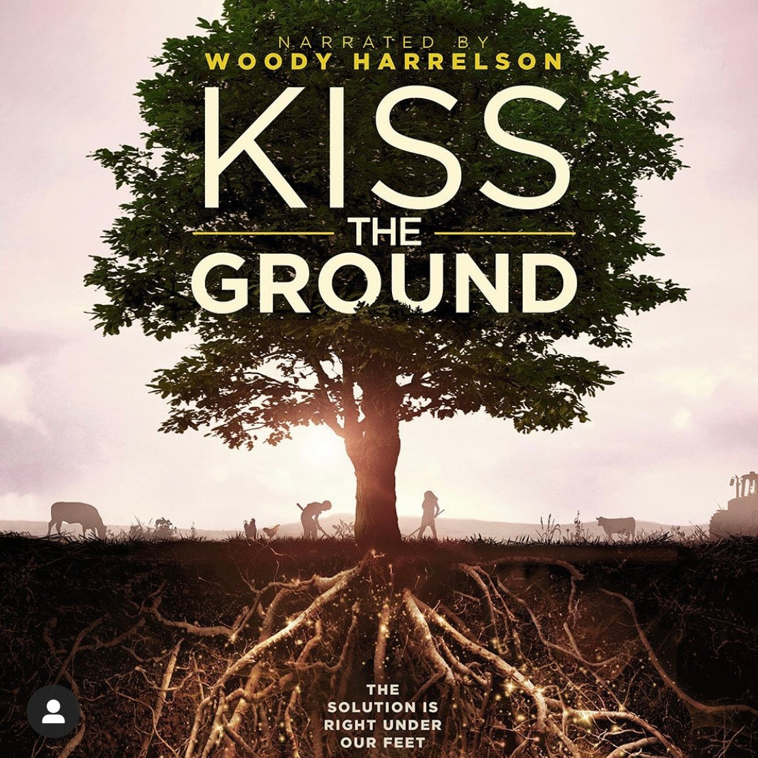 オススメ映画 :  Kiss The Ground (2020)