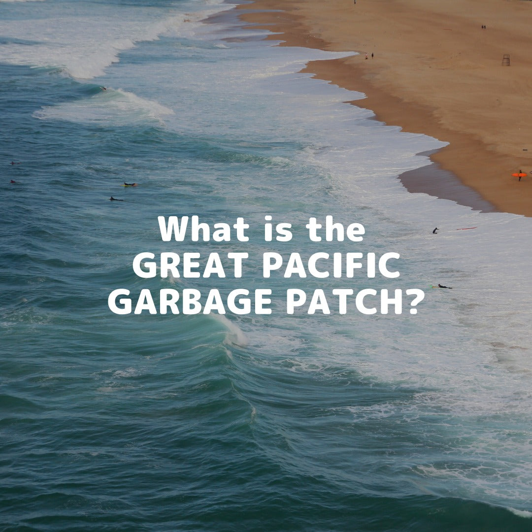 太平洋ゴミベルトから漁網とプラスチックの回収